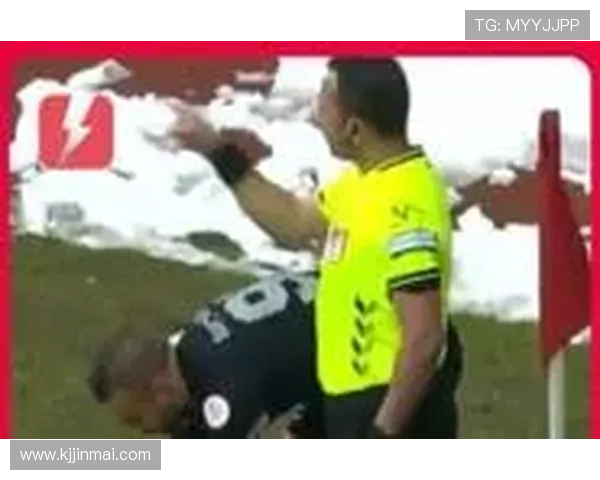 球迷雪球砸裁判罗斯托克恐被罚